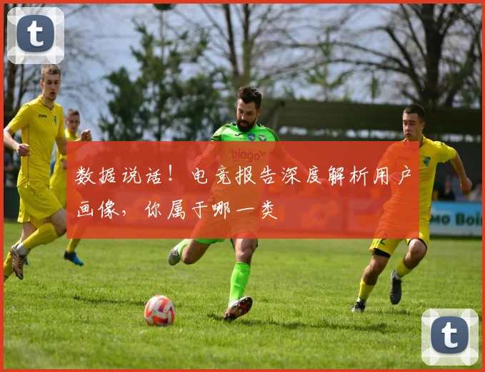 数据说话!电竞报告深度解析用户画像,你属于哪一类